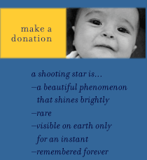 Make a Donation